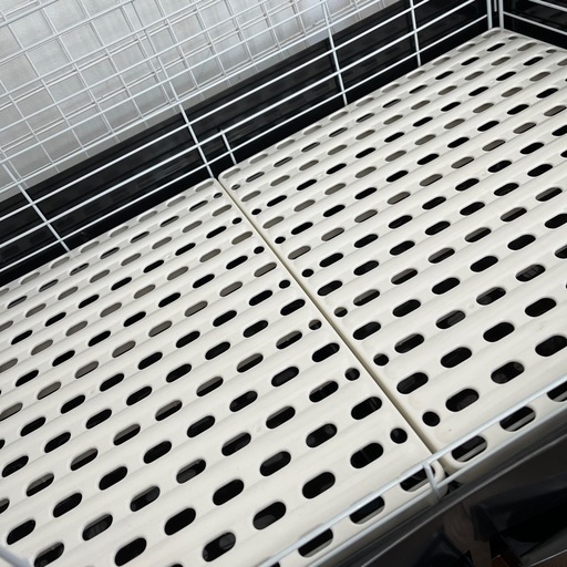 うさぎ小屋