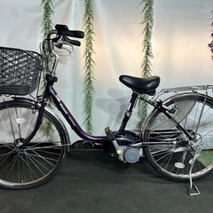 No.258BE-END435 VIVI DX 24インチ 電動...
