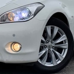 🐖フガフガ！！🐖　フーガくん