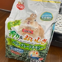 うさぎ小屋の画像