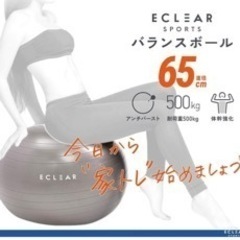バランスボールの画像