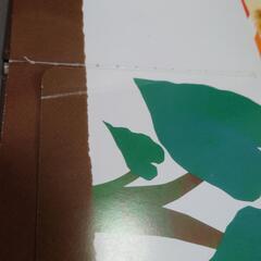 【話し合い中🙇】読み聞かせ絵本の画像