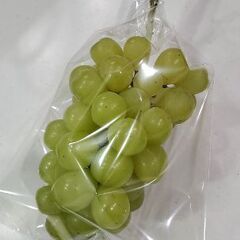 幻のジュエルマスカット　限定一房　