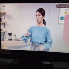 無料　candela テレビ CPLV20WDG1の画像