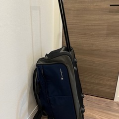 Champion ボストンキャリー　美品の画像