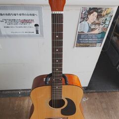 HOSCO WOOD LAND アコースティックギター WG-0の画像