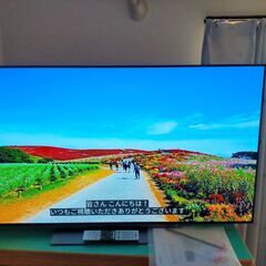 中国 東海地方配達します【動画あり】東芝 レグザ REGZA TOSHIBA 55X830 2019年製 55インチ 有機EL 4K テレビ HDR/倍速/Net動画 映画やアニメは大変綺麗に視れます! ユーチューブ アマプラ ネットフリックス 観れます！美品