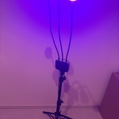 【成約済み】植物　爬虫類　LEDライト2個セットの画像