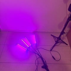 【成約済み】植物　爬虫類　LEDライト2個セットの画像