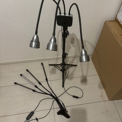 【成約済み】植物　爬虫類　LEDライト2個セットの画像