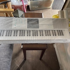 CASIO LK-516キーボード
