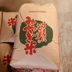 令和6年　登米産　新米　玄米30キロ1袋(20キロ1袋・20キロ1袋)