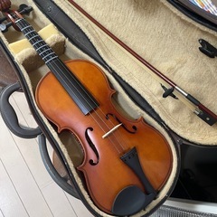 Hyojeong 4/4 HV-100 バイオリン　