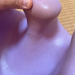 バンボの画像