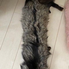 成人式　の画像