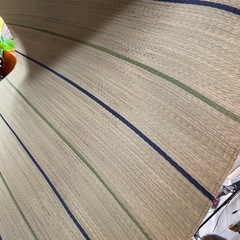 畳シートの画像