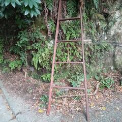 レトロ脚立