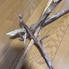 流木