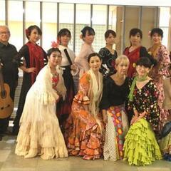 中高年フラメンコ舞踊団メンバー募集♪