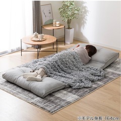 ニトリ　ソファの画像