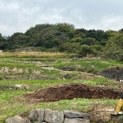 令和６年産長野産コシヒカリ
