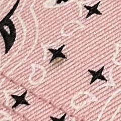 supremeバンダナキャップ　ピンクの画像