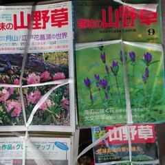 趣味の山野草5年分20位前の本