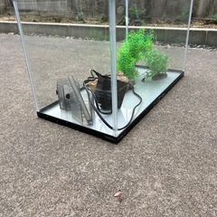 60センチ企画水槽の画像