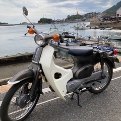 カモメカブ．ｃ70