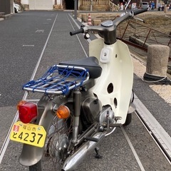 カモメカブ．ｃ70の画像