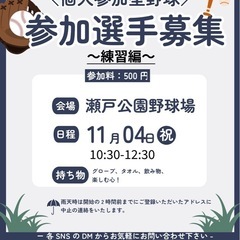 [個人参加野球⚾️] 追加募集‼️ 11/4(祝)10:30-1...