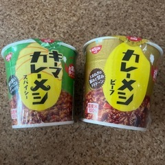 カレーメシ　