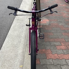 アーレスバイクス フォルク ギャンブラー