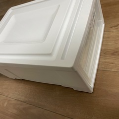 アイリスオーヤマ　ケース　1段のみの画像