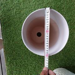 白い鉢3つの画像