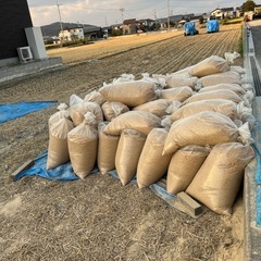 稲ワラ　もみ殻　たくさんありますの画像