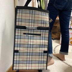 持ち歩けるショッピングカートの画像