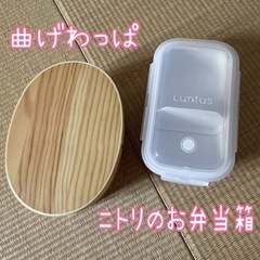 美品✨ お弁当箱2個セット 曲げわっぱ ニトリ お手入れ簡単弁当箱の画像