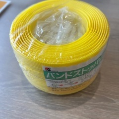 バンドの画像