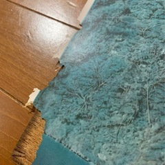 姫路城 レトロ 写真？遺品整理の画像