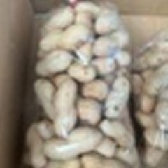 生落花生！人気！注文殺到！①