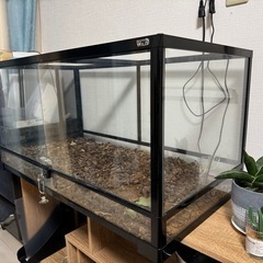※お取引中　パンテオン カノン BK9045の画像