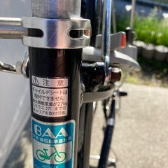 【決定しました】アルベルト　自転車の画像