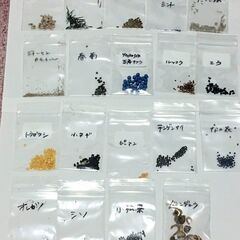 ハーブ　野菜　種19種類 コーンフラワー チャービル ディル ペ...