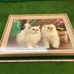 猫、ねこ、本物みたいな額入り、インテリア