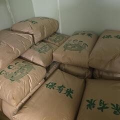 現在購入が決まっている方で終了致します。ありがとうございました。