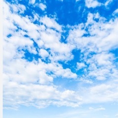 霊感、霊視、初回電話鑑定サービス。
