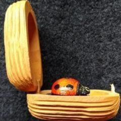 てんとう虫のおもちゃの画像