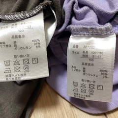 【105.120】カンゴールのお揃いTシャツの画像