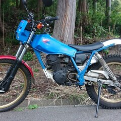 ホンダ TLR200 部品取り車 TL125 訳アリの画像